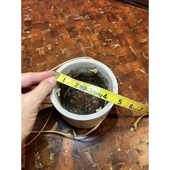 Grey and White Small Jute and Ceramic Hanging Planter - Picture 3 of 5